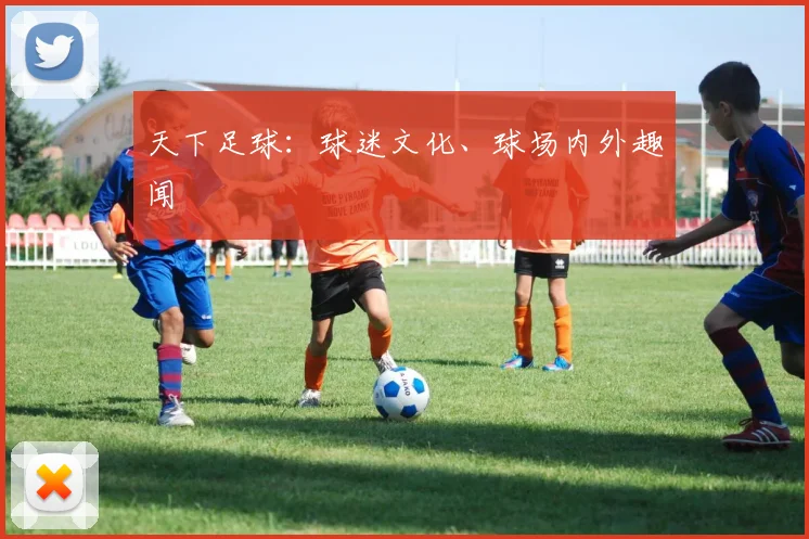天下足球：球迷文化、球场内外趣闻